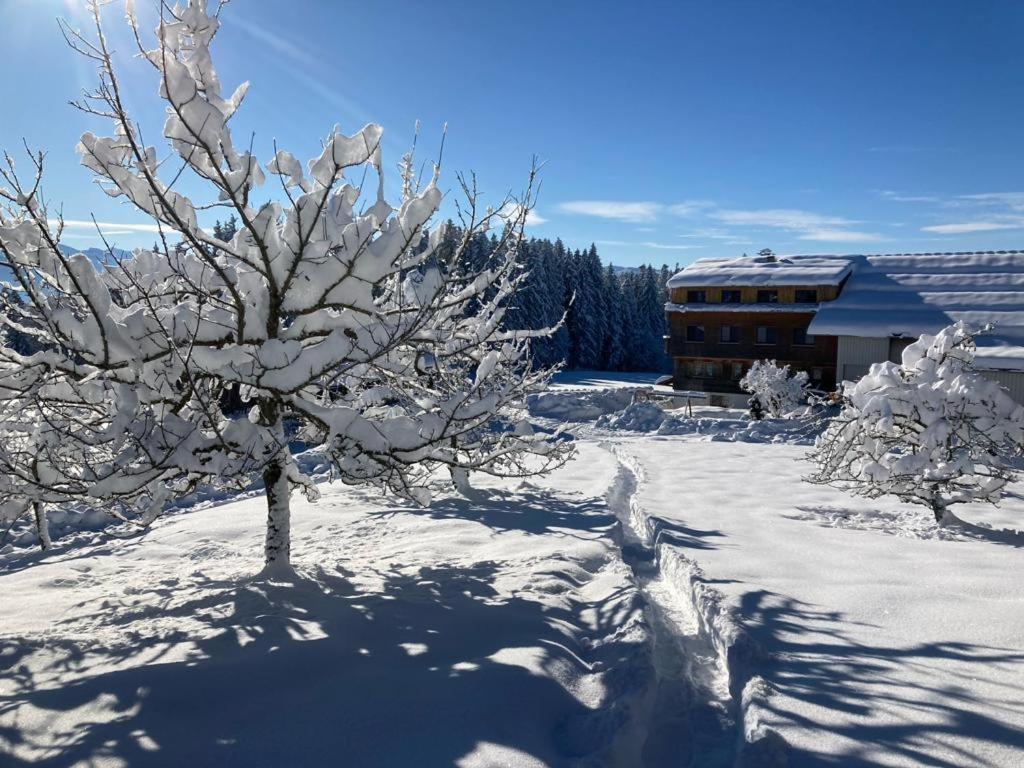 Stockreutehof Sulzberg (Bregenz)