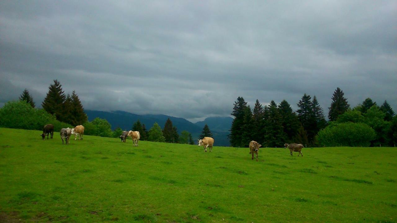 Stockreutehof *