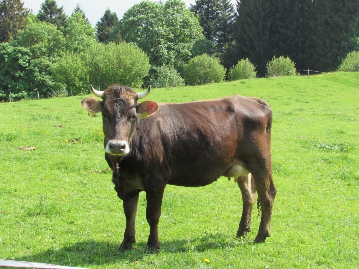 Stockreutehof *