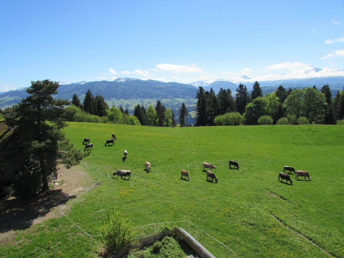 Stockreutehof Sulzberg (Bregenz)
